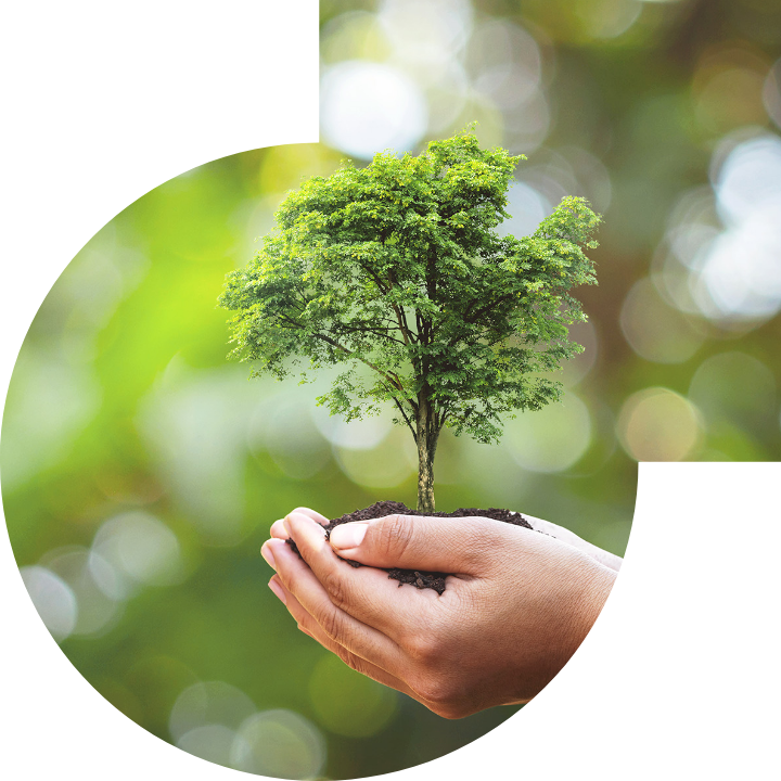 关怀人类、文化、环境与社会